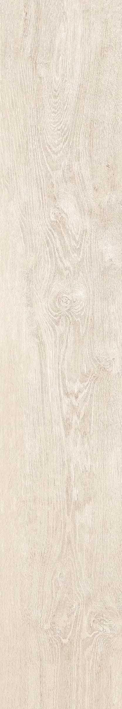 DENDRO AKCAAGAC REKTIFIYE